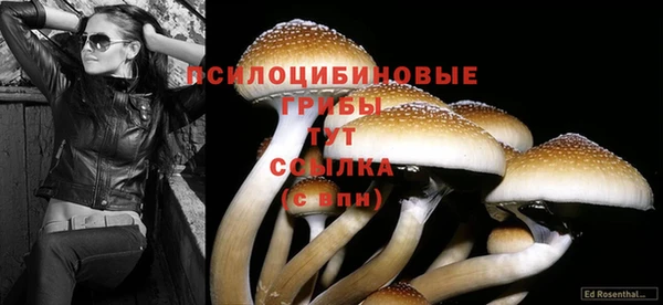 амфетамин Арсеньев