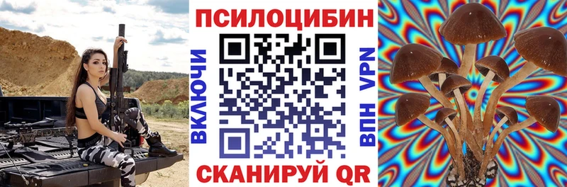 Псилоцибиновые грибы Psilocybine cubensis  Давлеканово 