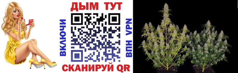 купить наркоту  Давлеканово  Канабис план 